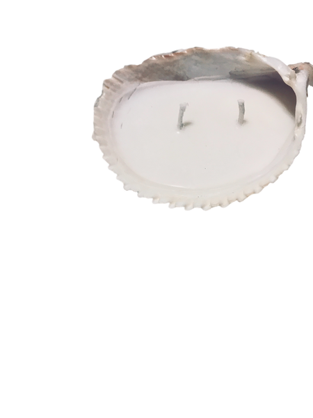 BEEthereason.com